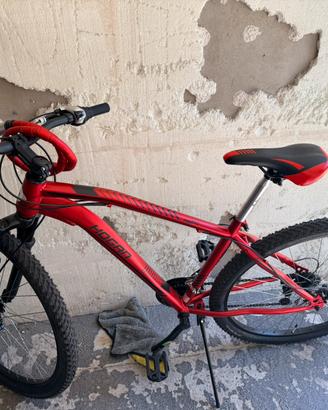 Mountain Bike Hogan