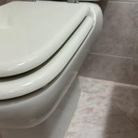 Ideal Standard wc + bidet ceramica usato