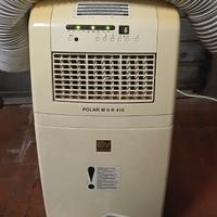 pinguino climatizzatore portatile freddo