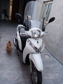 Motorino sh mode 125