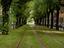 Immagine 26