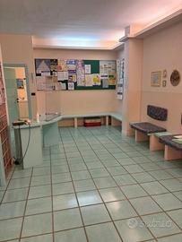 Appartamento uso abitazione/studio