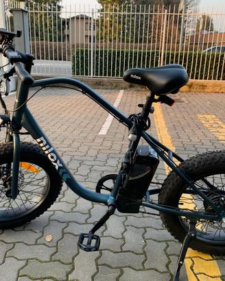 Bicicletta elettrica