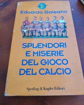Splendori e miserie del gioco del calcio 