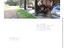 Immagine 19