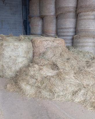 Balloni di fieno e fieno fasciato haylage