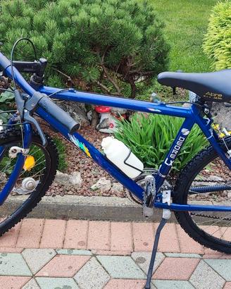 bicicletta 
