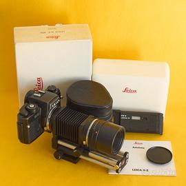 Leica R-E;  Macro Elmar 100; dorso DB2 e soffietto