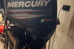 Motore mercury pro 40 cv 2019