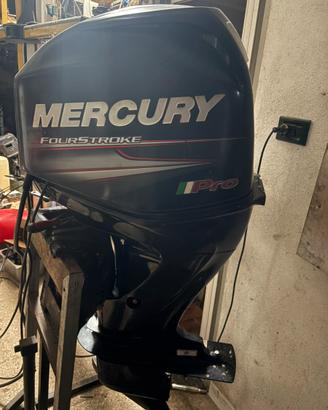 Motore mercury pro 40 cv 2019