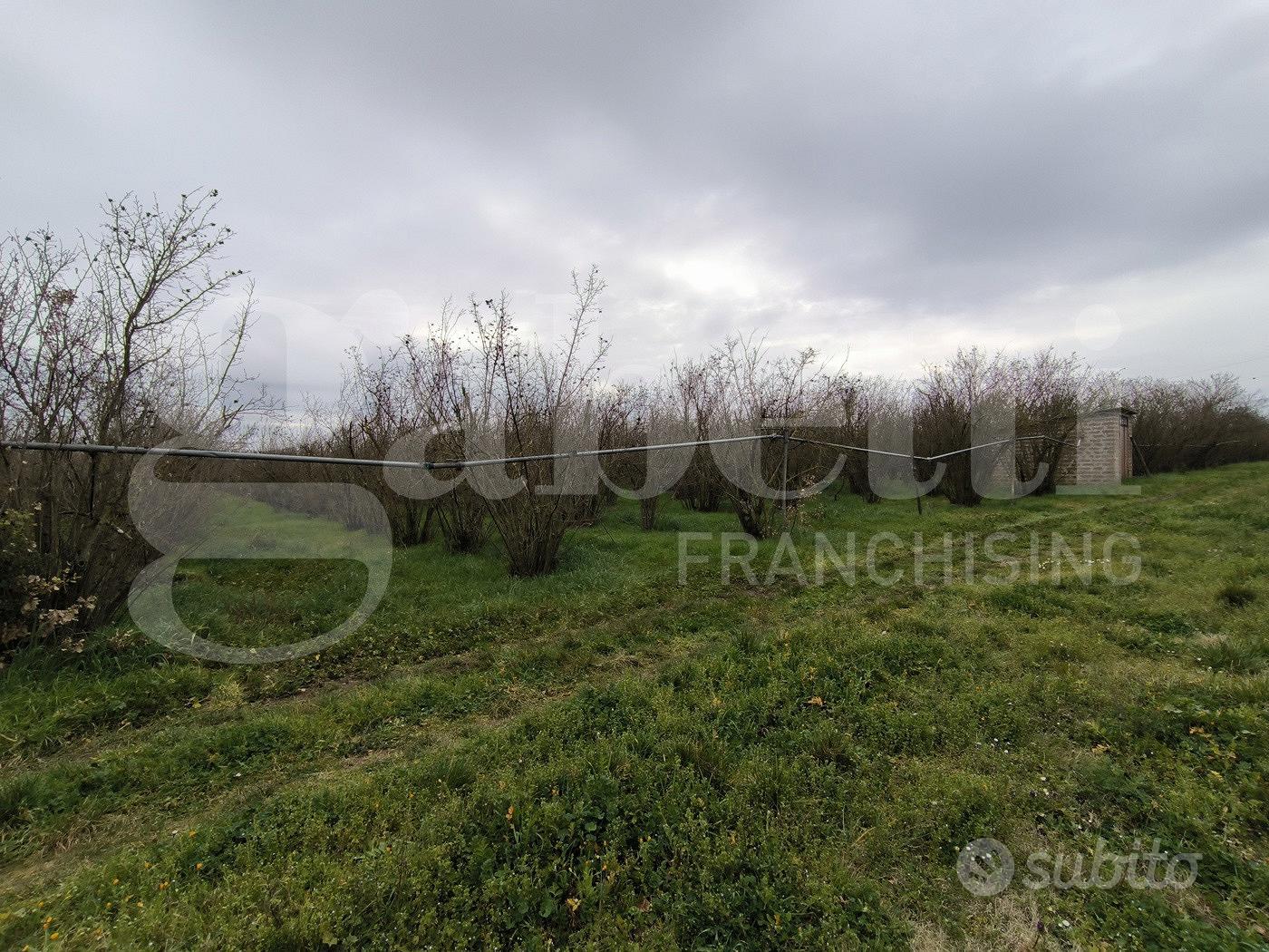 Terreno Agricolo Corchiano [Cod. rif 3213965VCG] - Vista 2