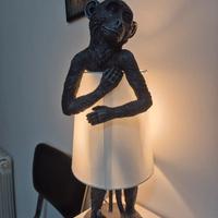 lampada scimmia