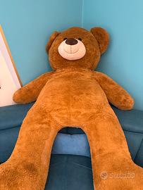 Orso gigante