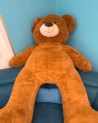 Orso gigante