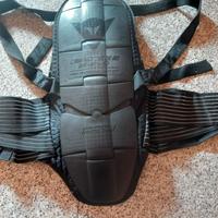paraschiena Dainese 