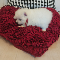 Allevamento Volpini Italiani