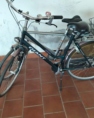 bici unisex  in coppia o singola