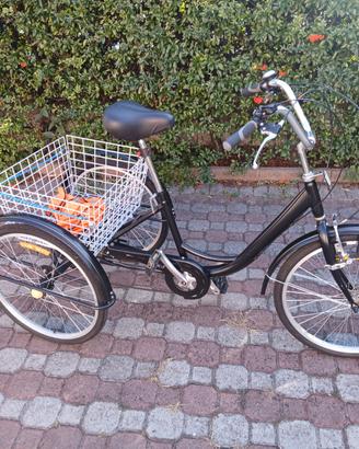 Bicicletta con 3 ruote