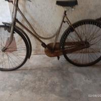 bici donna