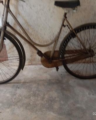bici donna