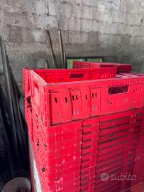 Cassette richiudibili e impilabili