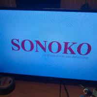 Televisore Graetz 32 pollici LEGGI DESCRIZIONE