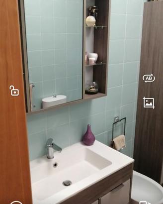 Mobile bagno con lavabo e specchio contenitore
