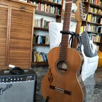 set chitarra acustica + elettrica + amplificatore