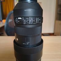 Zoom Sigma 100/400 f5.6/6.3 DG OS HSM per Nikon