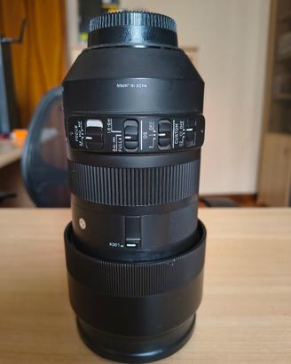 Zoom Sigma 100/400 f5.6/6.3 DG OS HSM per Nikon