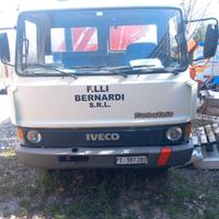Camion iveco con gru edile