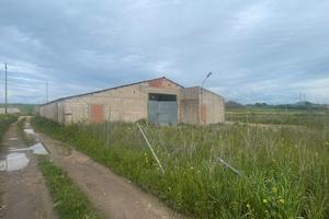 Sanluri - Capannone con ampio lotto