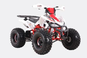 Ztech MiniQuad Cheetah 125