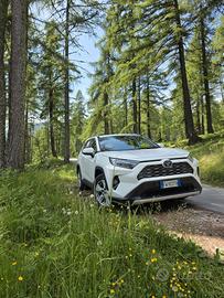 Toyota Rav4 2.5 HV 222 CV E-CVT AWD Active 2019