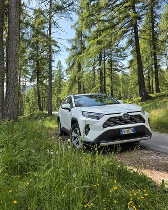 Toyota Rav4 2.5 HV 222 CV E-CVT AWD Active 2019
