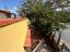 Immagine 7