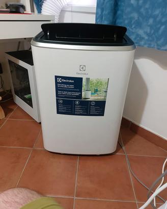 Electrolux climatizzatore portatile con pompa di c