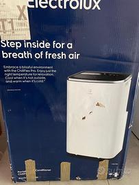 Condizionatore e deumeidificatore Electrolux