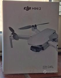 Dji mini