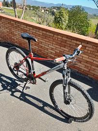 Bici MTB Scapin
