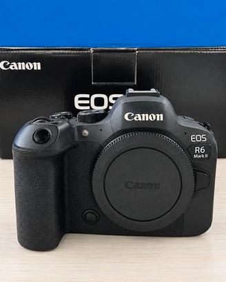 Canon R6 Mark II (54.000scatti)