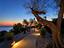 Immagine 22