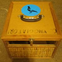 TRASPORTINO PICCIONI 