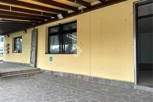 ATTIVITÀ A BERTINORO