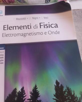 MAZZOLDI.NIGRA.VOCI.FISICA