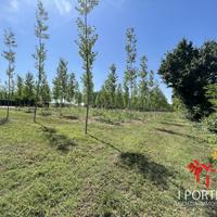 Rustico a Massanzago (PD)