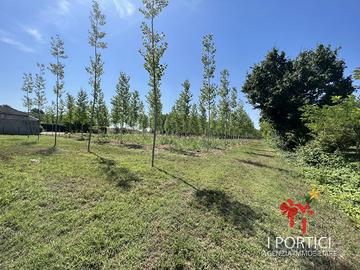 Rustico a Massanzago (PD)