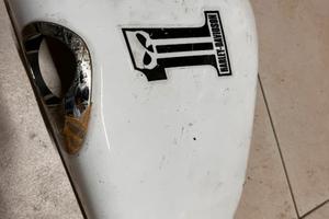 Fianchetti Harley Davidson Sportster