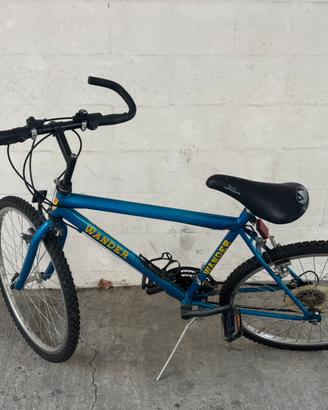 Bici Wander