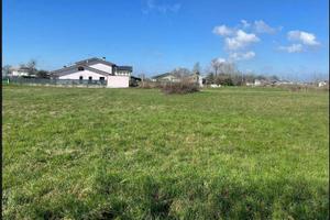 Immobile in asta di 3906 m² a Bagnolo San Vito